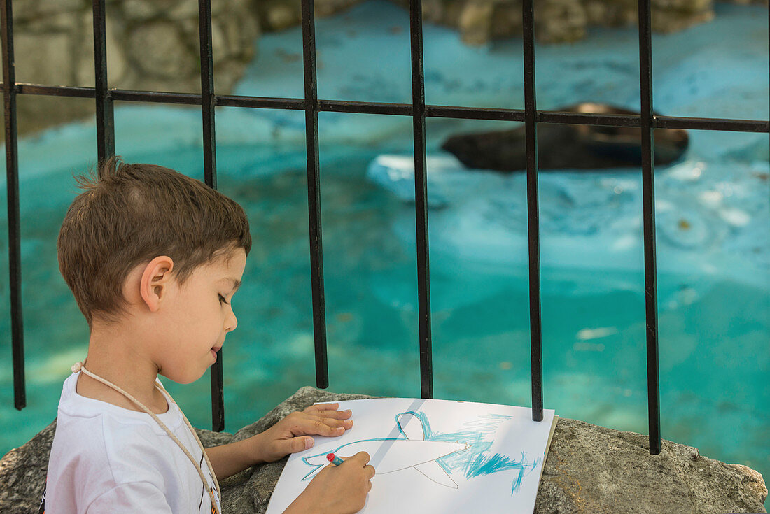 Boy drawing a seal