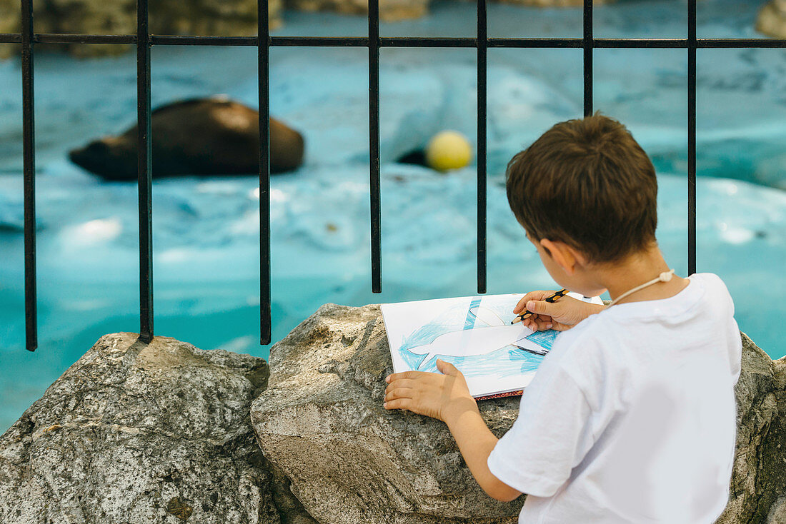 Boy drawing a seal