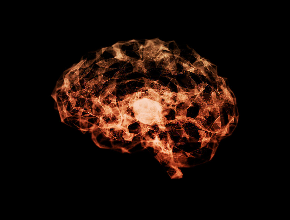 Abstract polygon brain, illustration