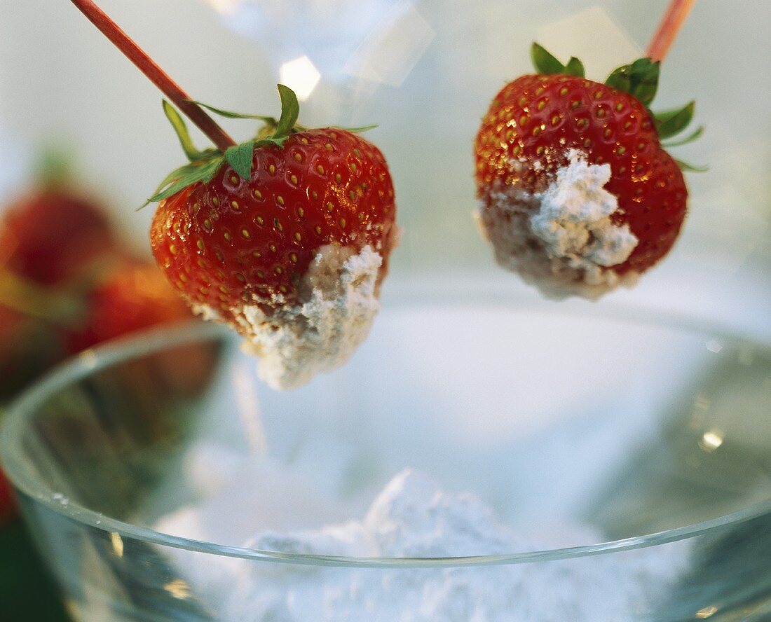 Strawberries on Skewers Dipped in Powdered Sugar