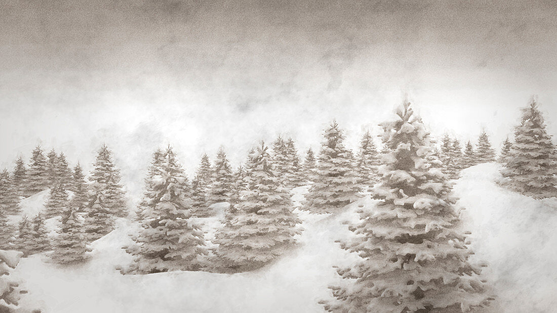 Vintage winter background, illustration
