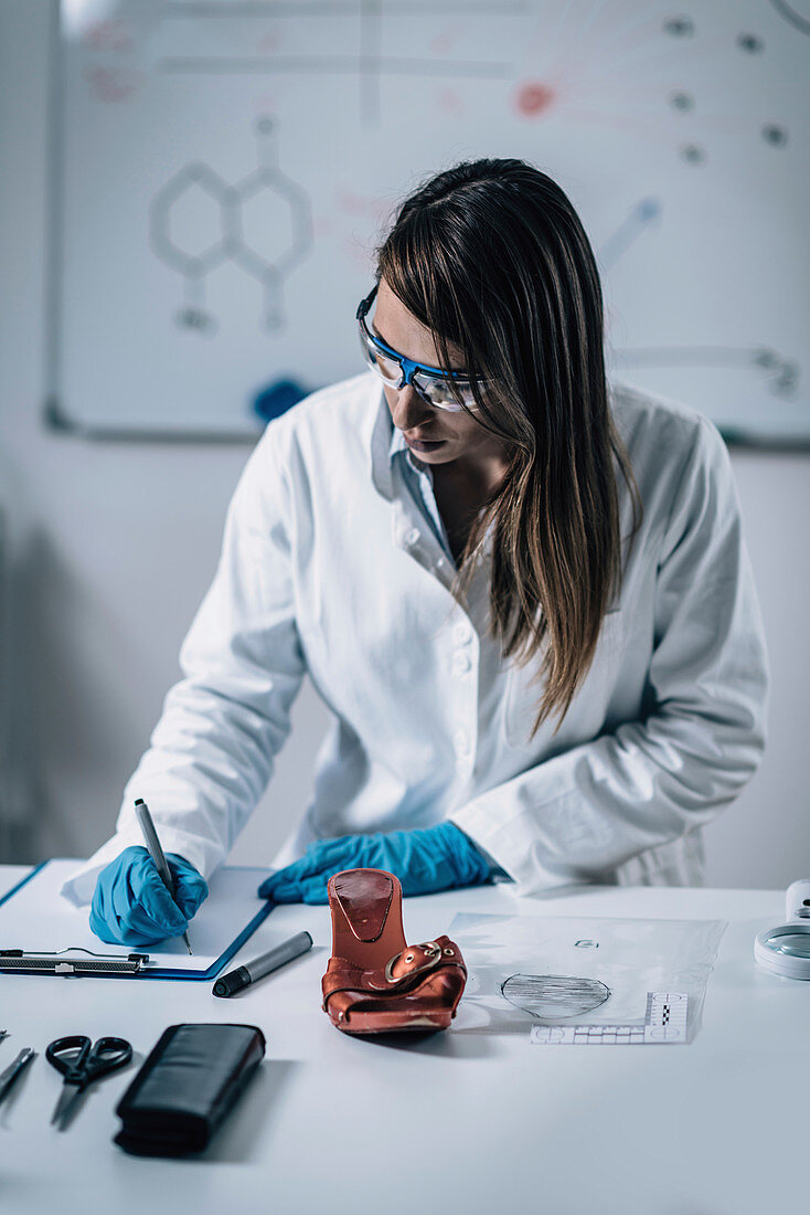 Forensics expert examining crime scene evidence