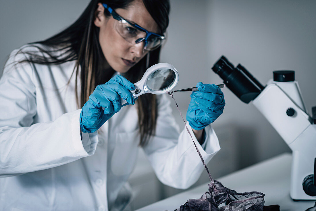 Forensics expert examining crime scene evidence