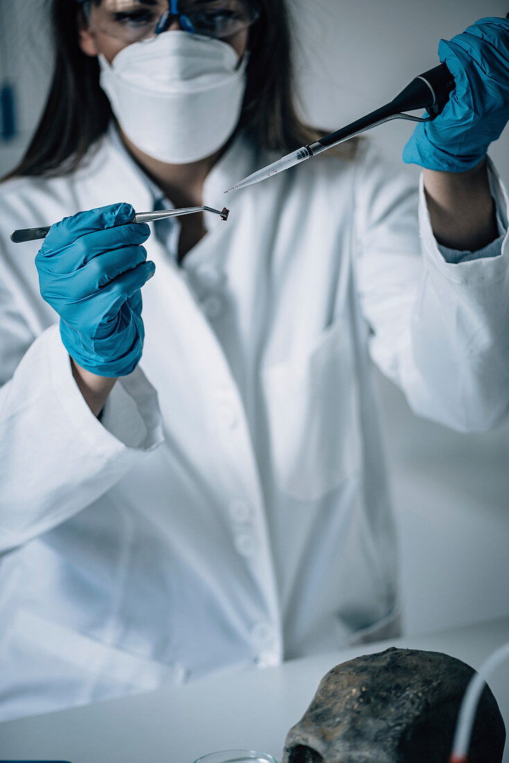 Forensics expert examining crime scene evidence