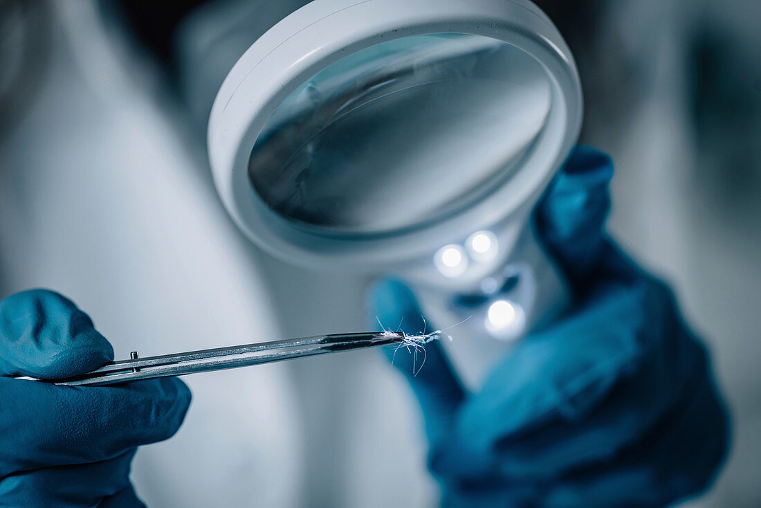 Forensics expert examining crime scene evidence