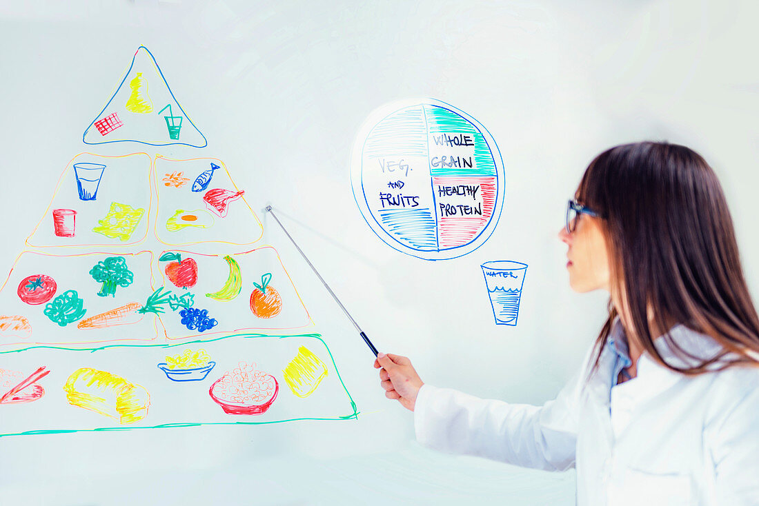 Nutritionist with food pyramid