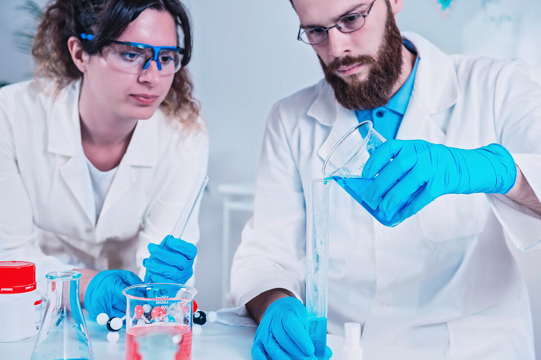 Young scientists working in laboratory