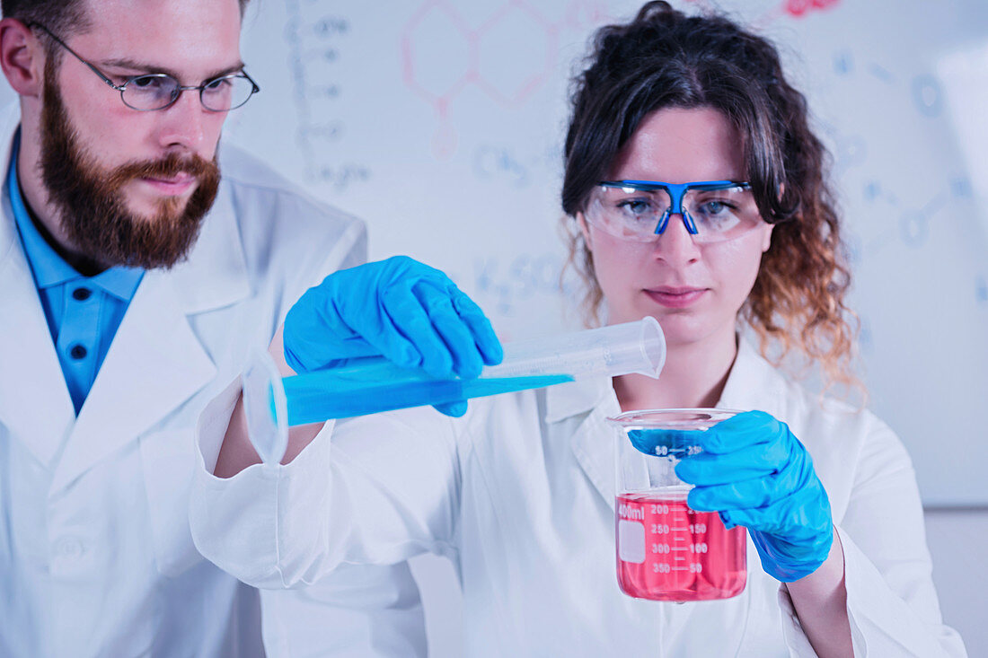 Young scientists working in laboratory