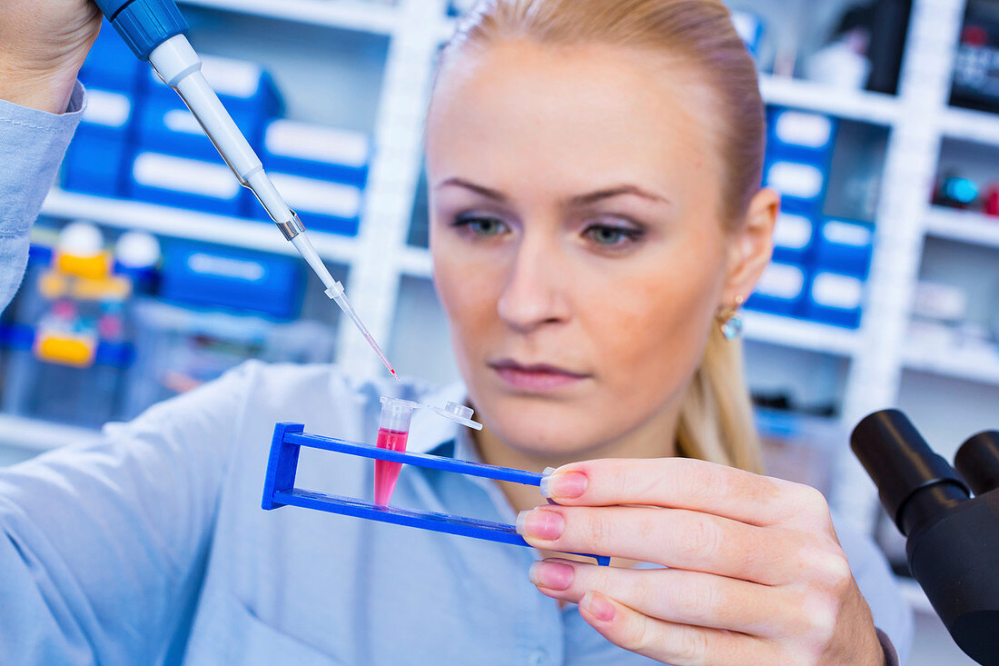 Researcher pipetting sample