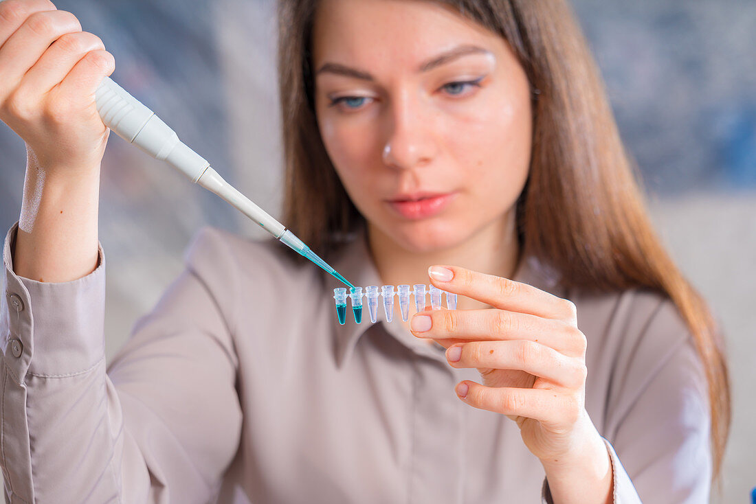 Researcher pipetting sample