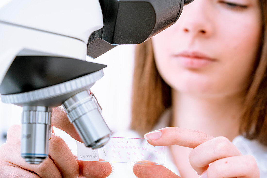 Researcher using microscope