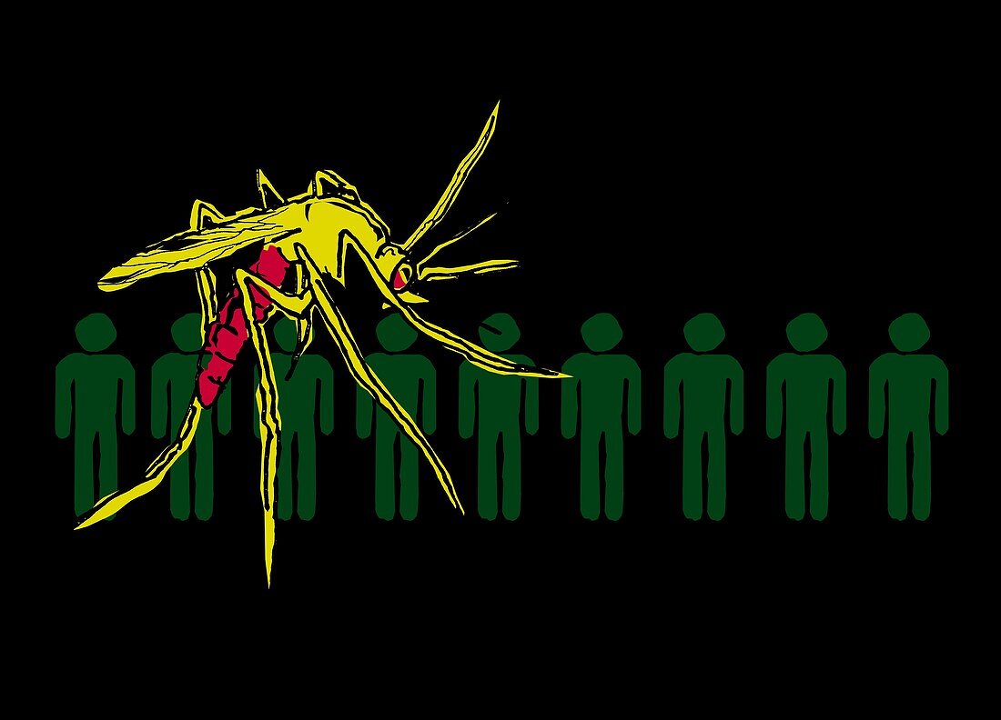 People and mosquito, illustration
