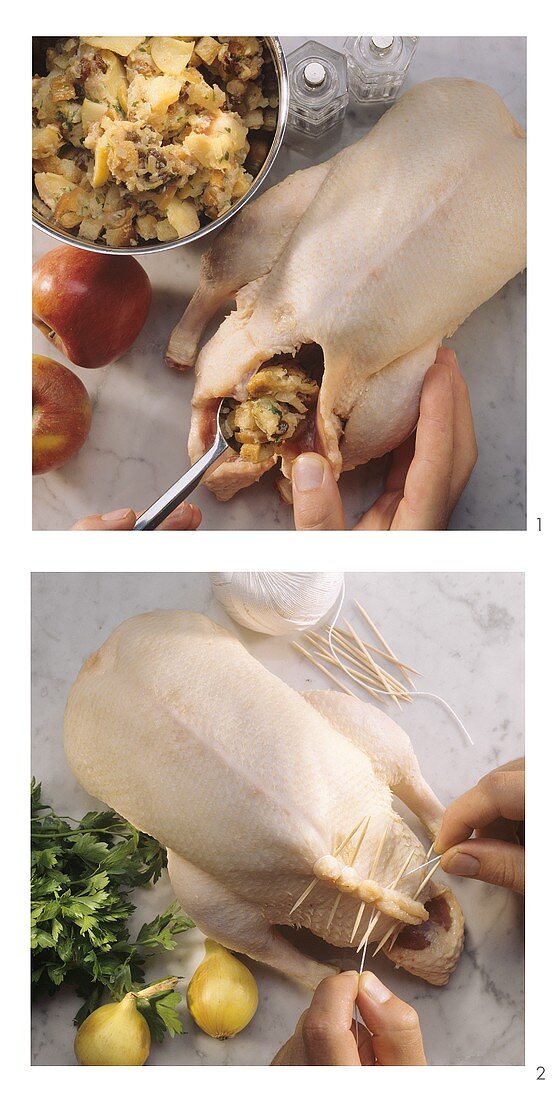 Stuffing and trussing poultry