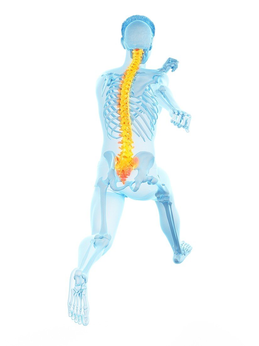 Runner with back pain, conceptual illustration