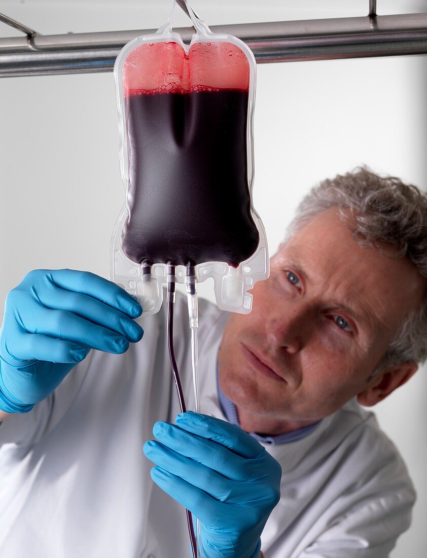 Donor blood processing