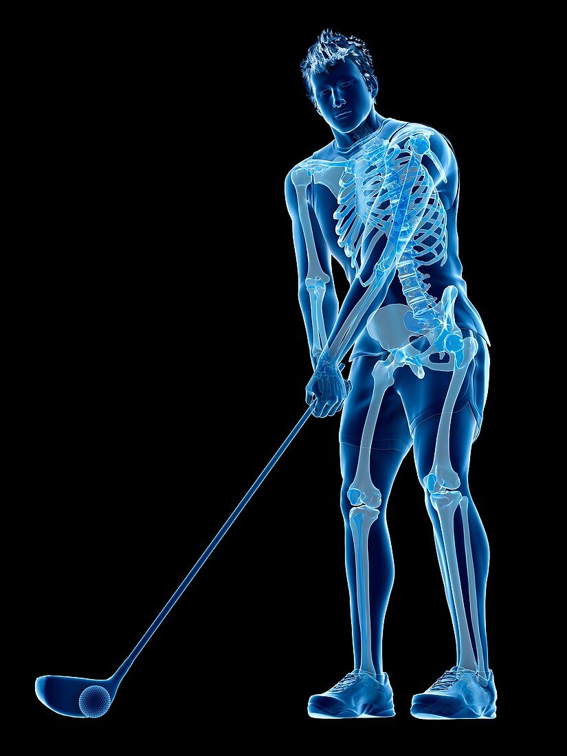 Golf player's skeleton, illustration