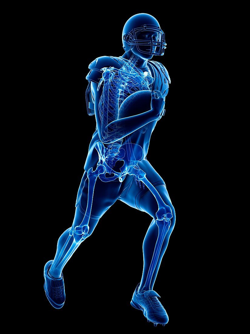 American football player's skeleton, illustration