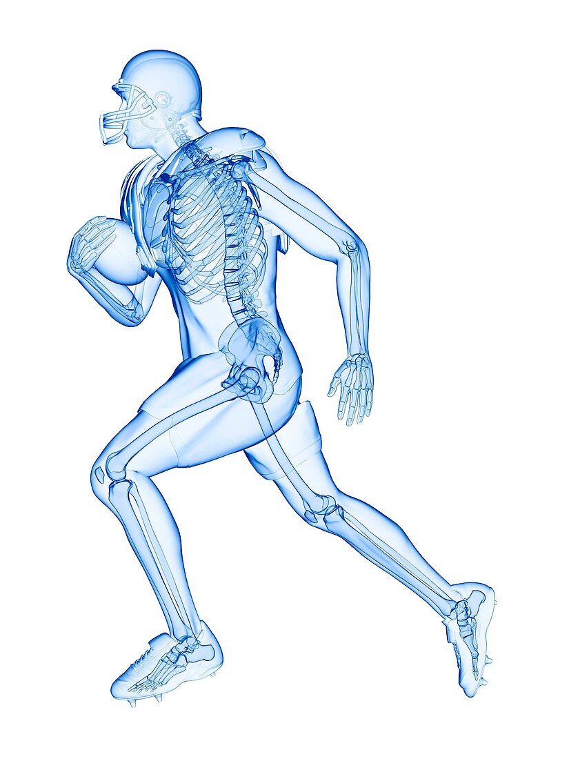 American football player's skeleton, illustration