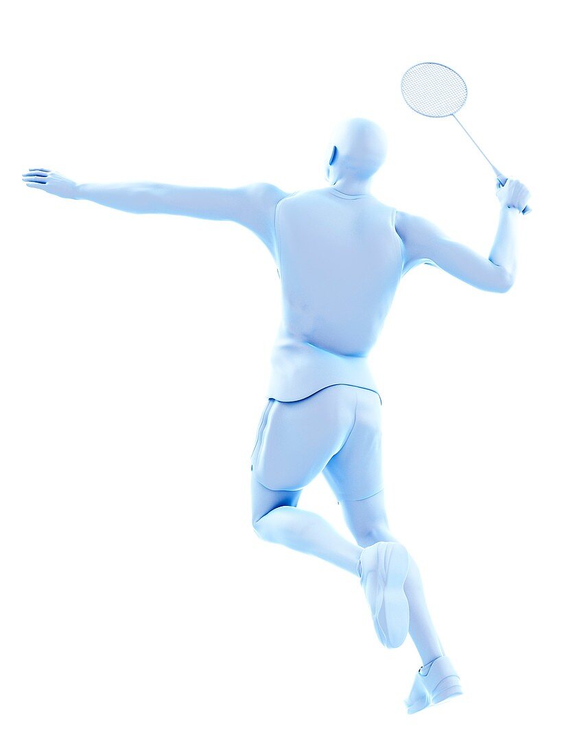 Badminton player, illustration