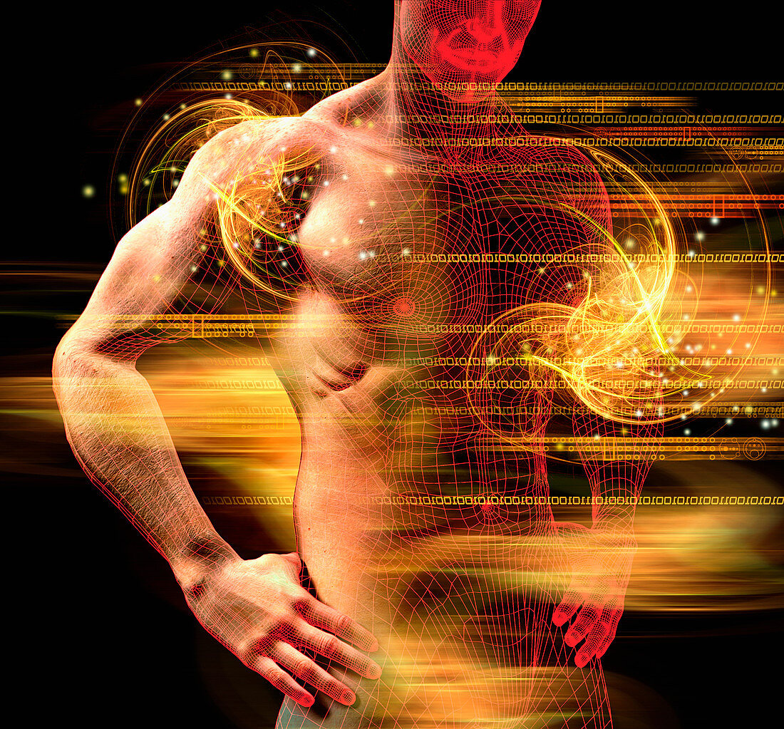 Man's muscular torso, illustration
