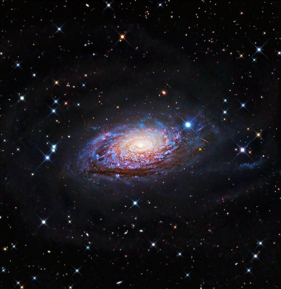 Sunflower Galaxy, optical image