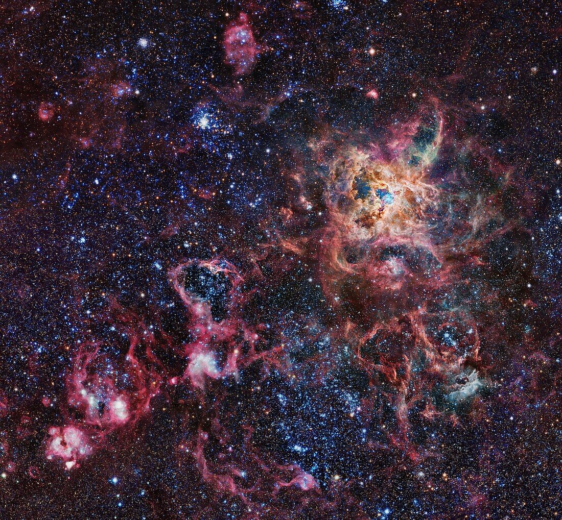 Tarantula Nebula, optical image
