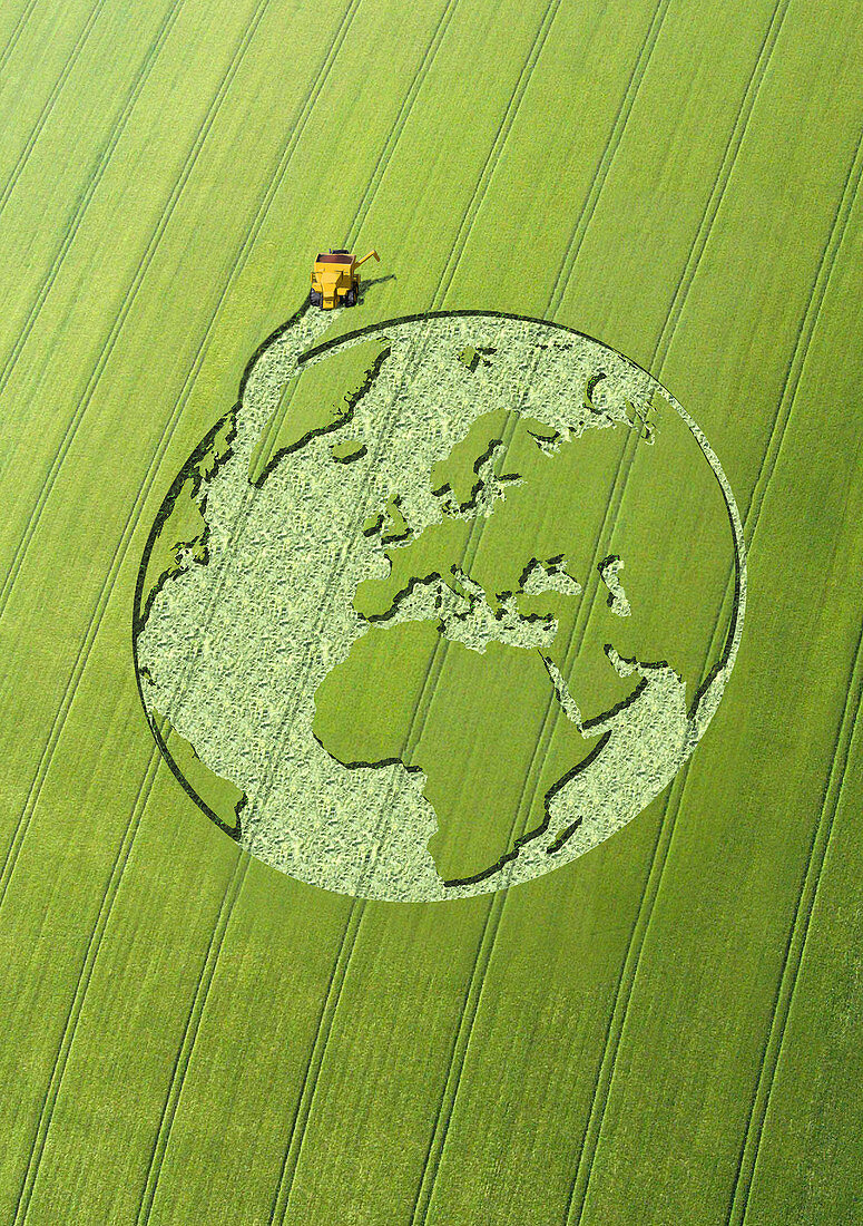 Globe crop circle in green field, illustration