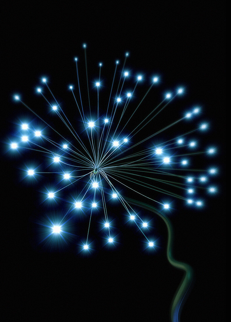 Glowing fibre optic cables, illustration