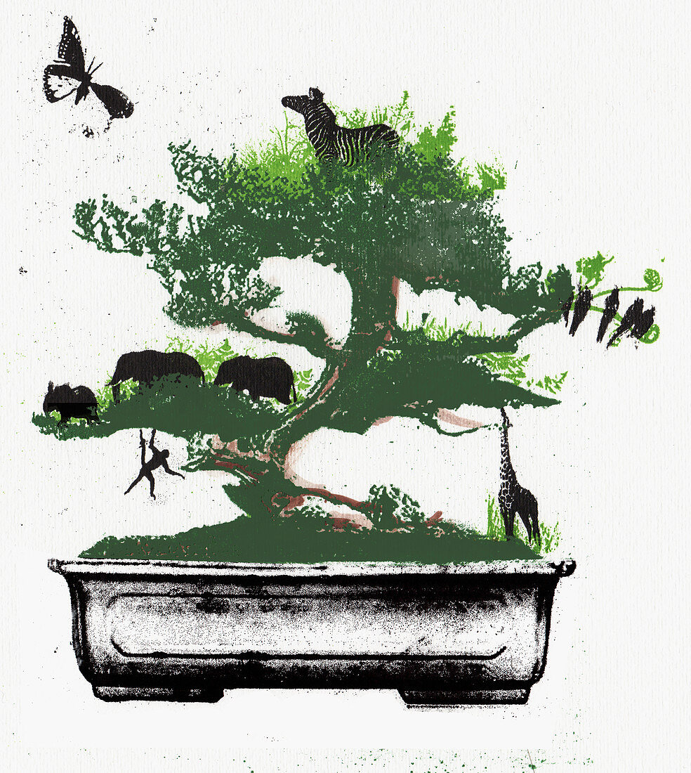 Assorted animals in bonsai tree, illustration