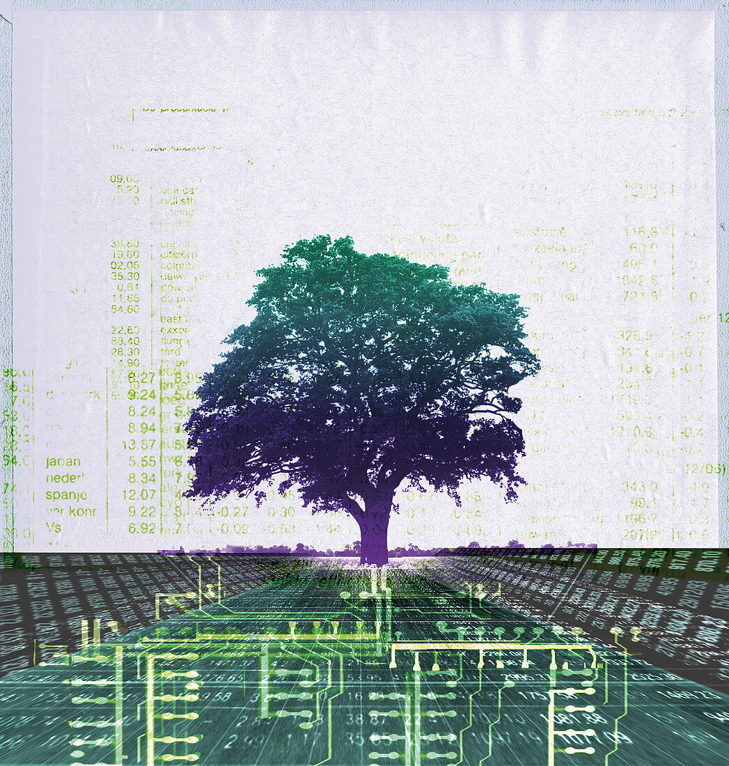 Digital tree, conceptual illustration