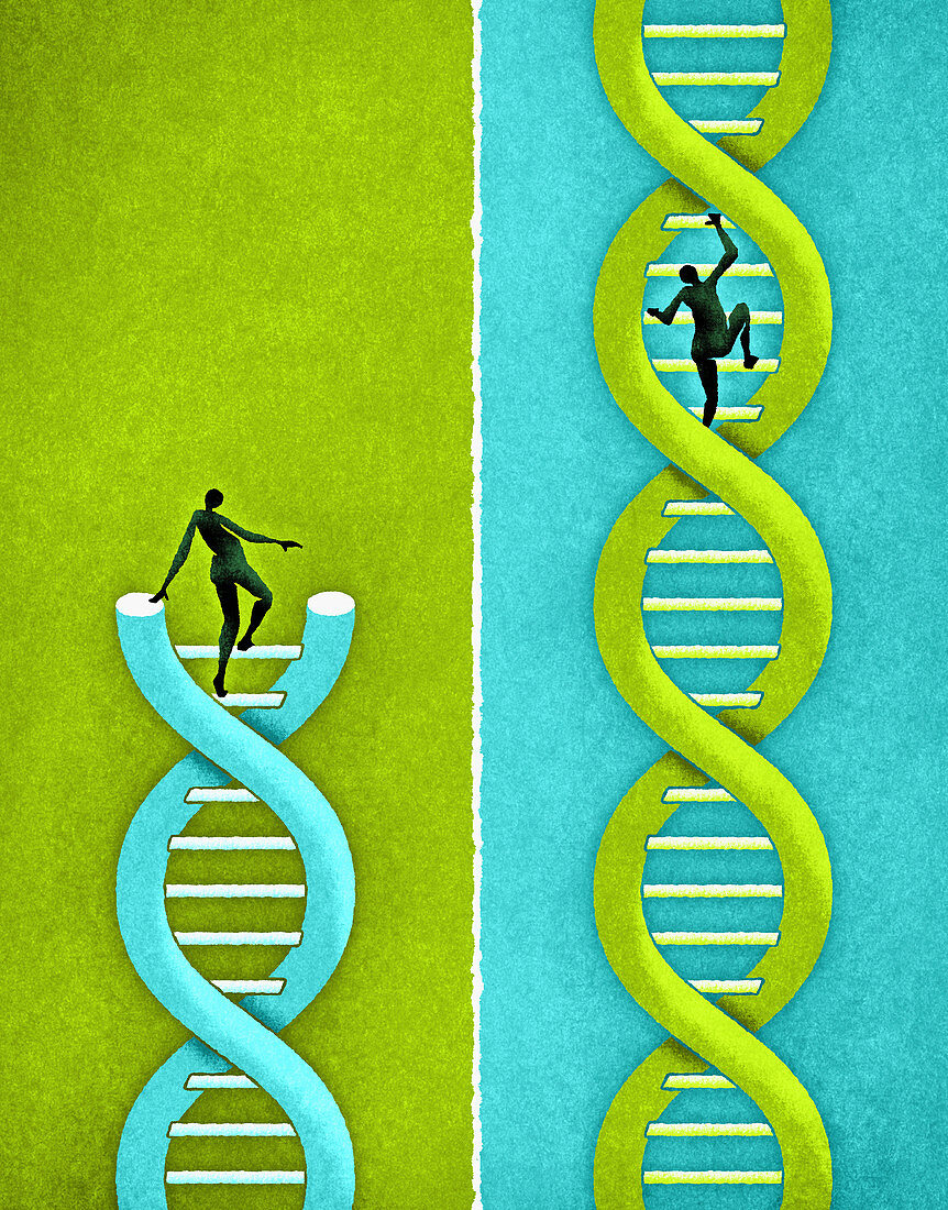 People climbing strands of DNA, illustration