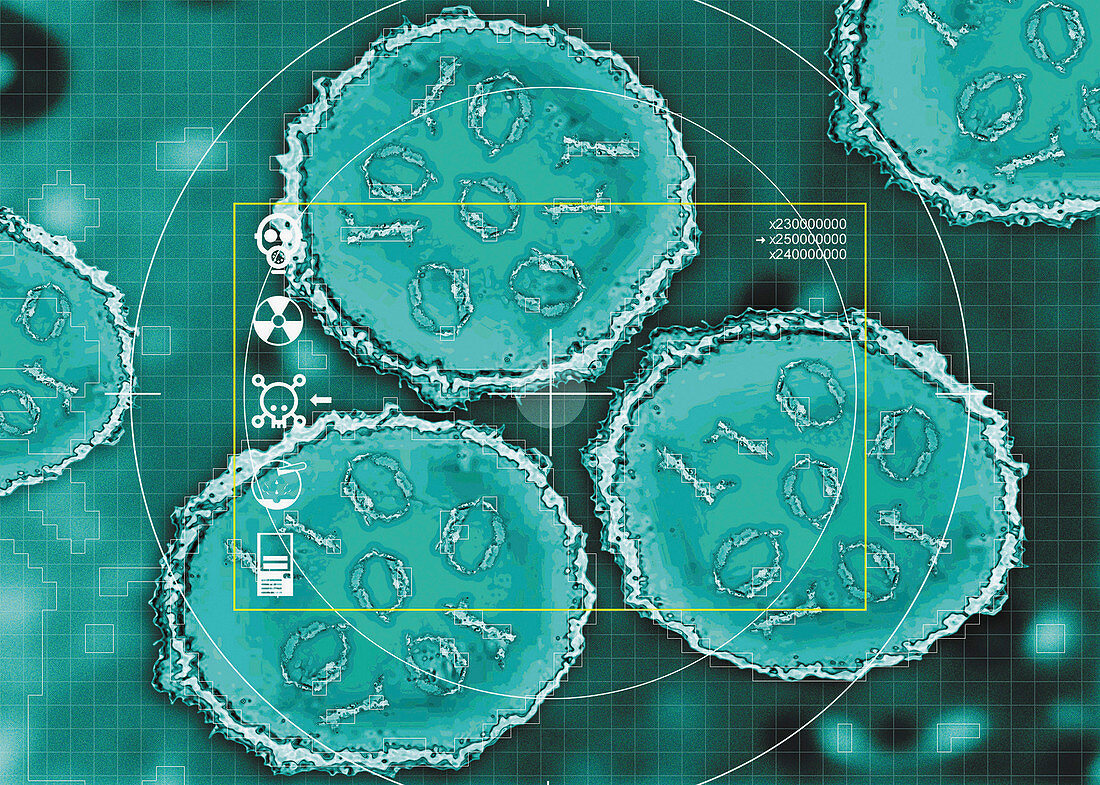 Zeros and ones in centre of germ cell, illustration