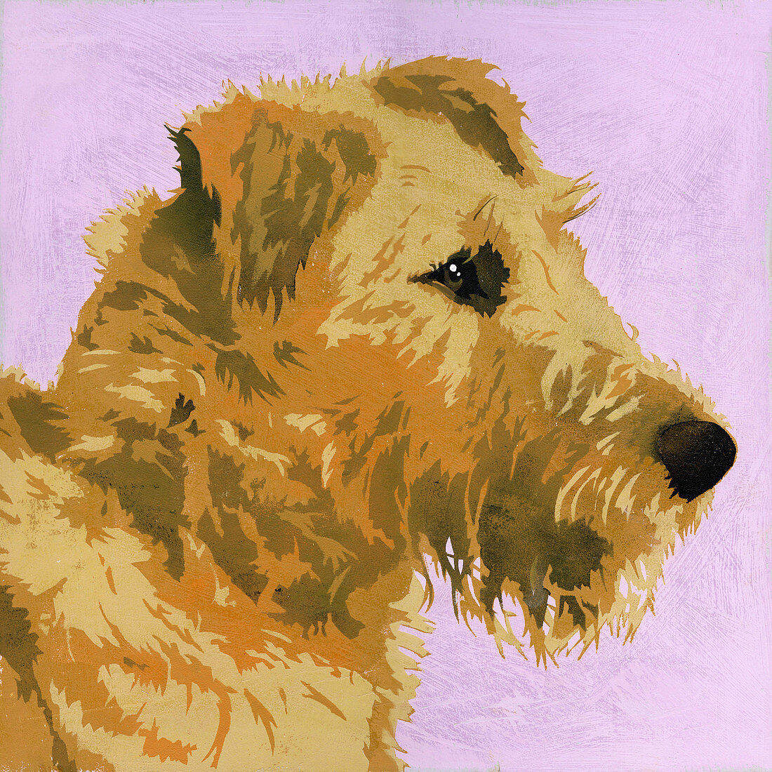 Irish Terrier dog, illustration