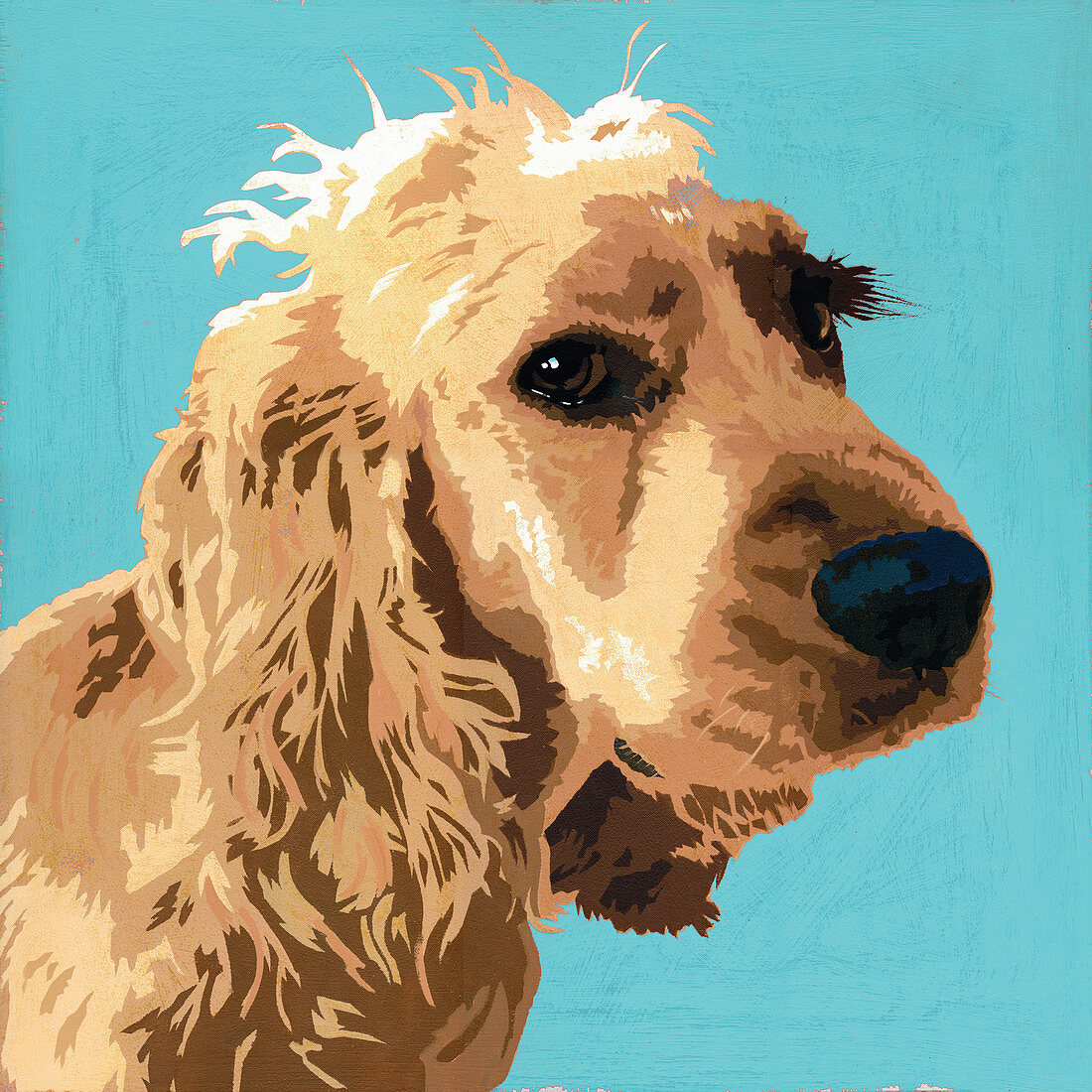 Cocker Spaniel dog, illustration