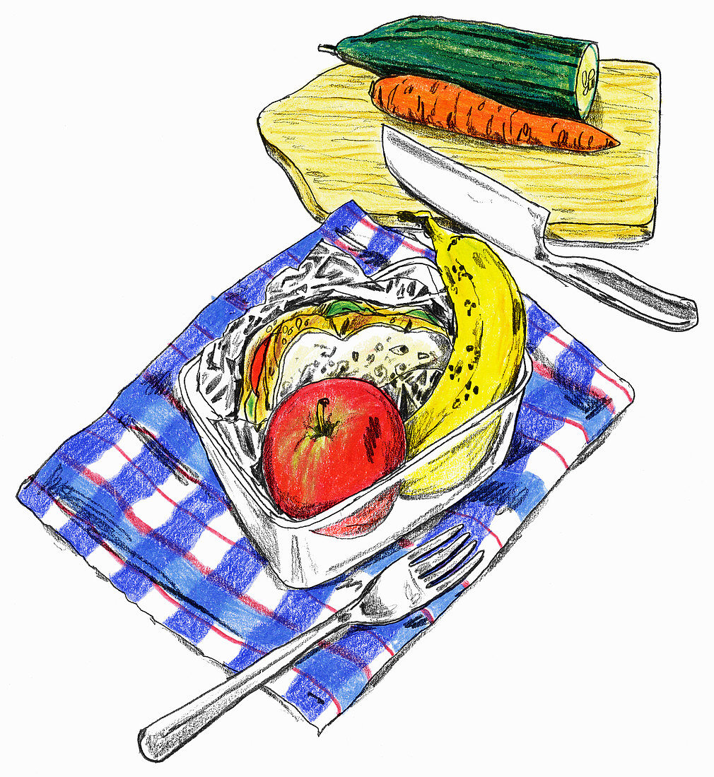 Healthy packed lunch of sandwich and fruit, illustration