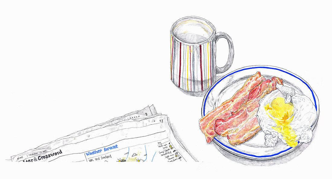 Bacon and egg breakfast, illustration