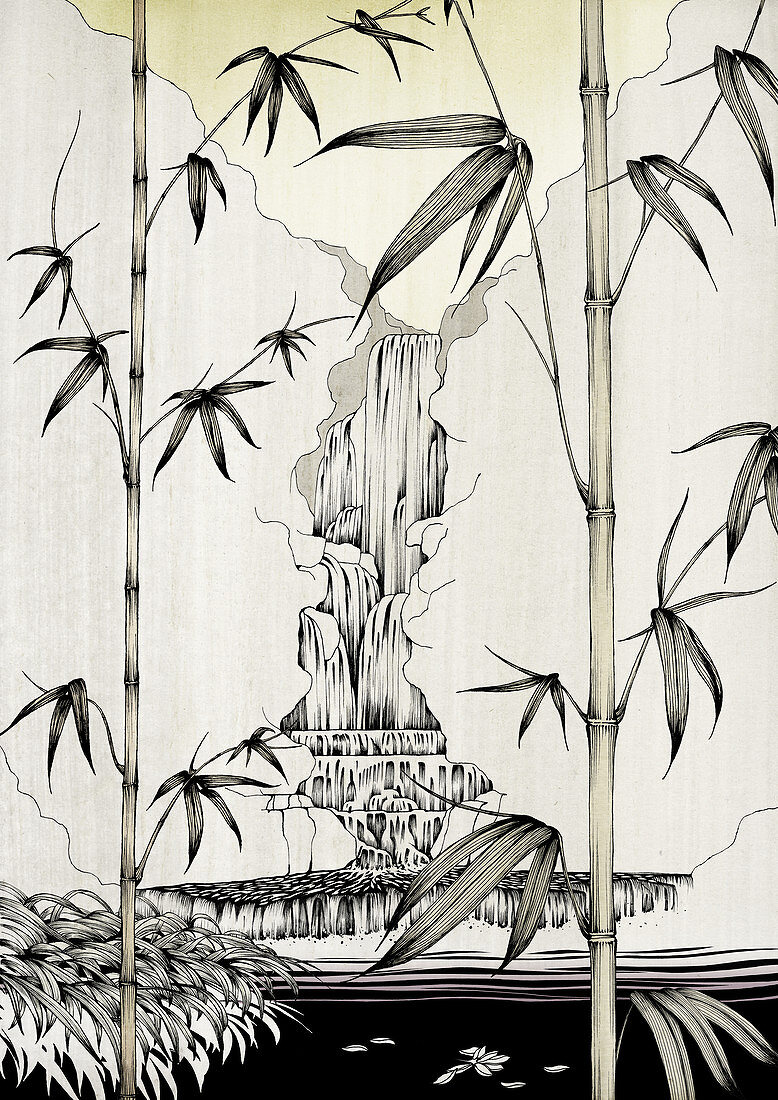 Bamboo growing near waterfall, illustration