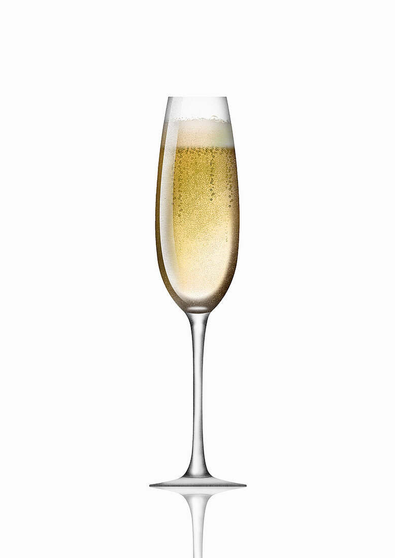 Single champagne flute, illustration