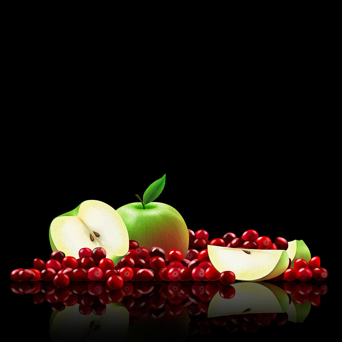 Fresh apples and cranberries, illustration
