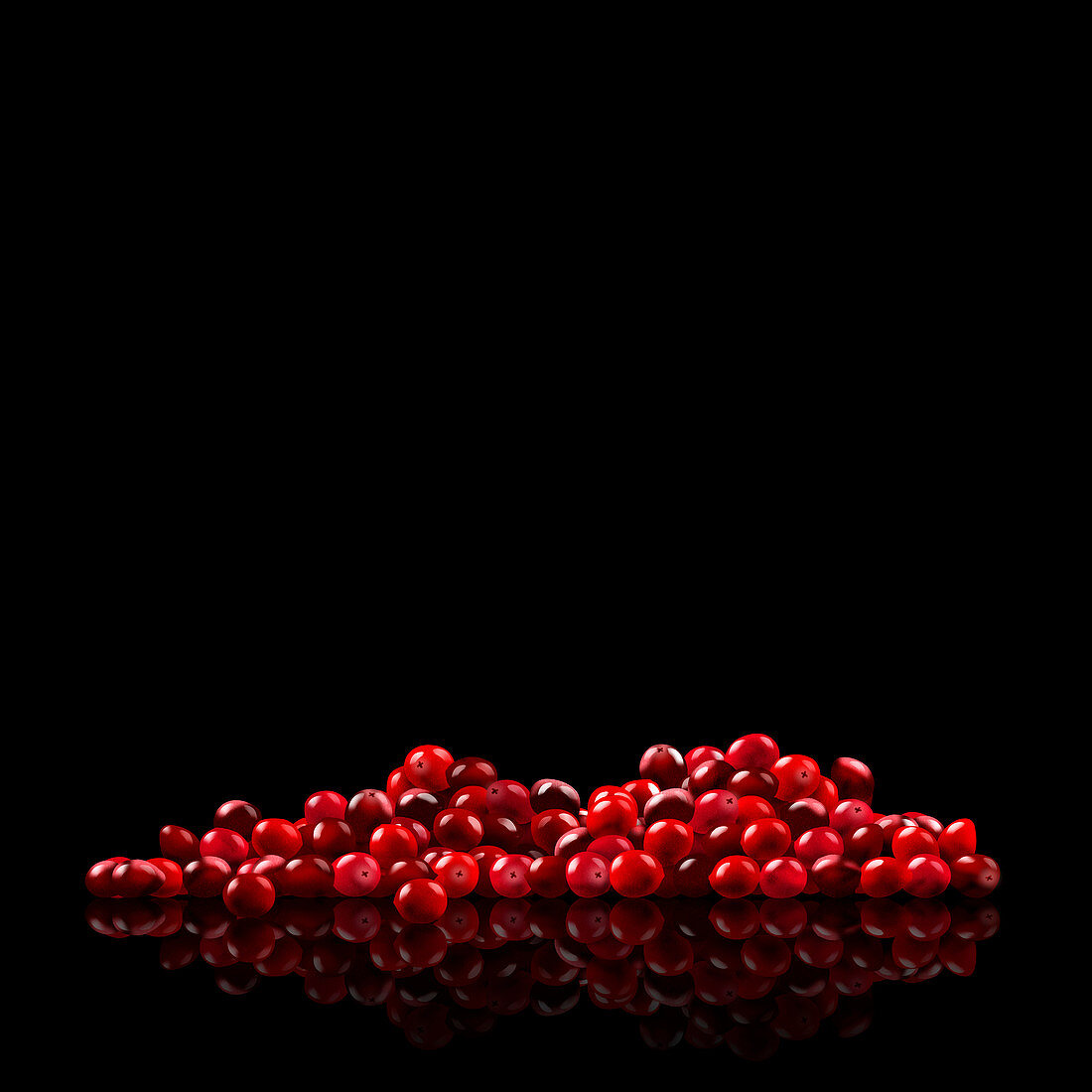 Fresh cranberries, illustration