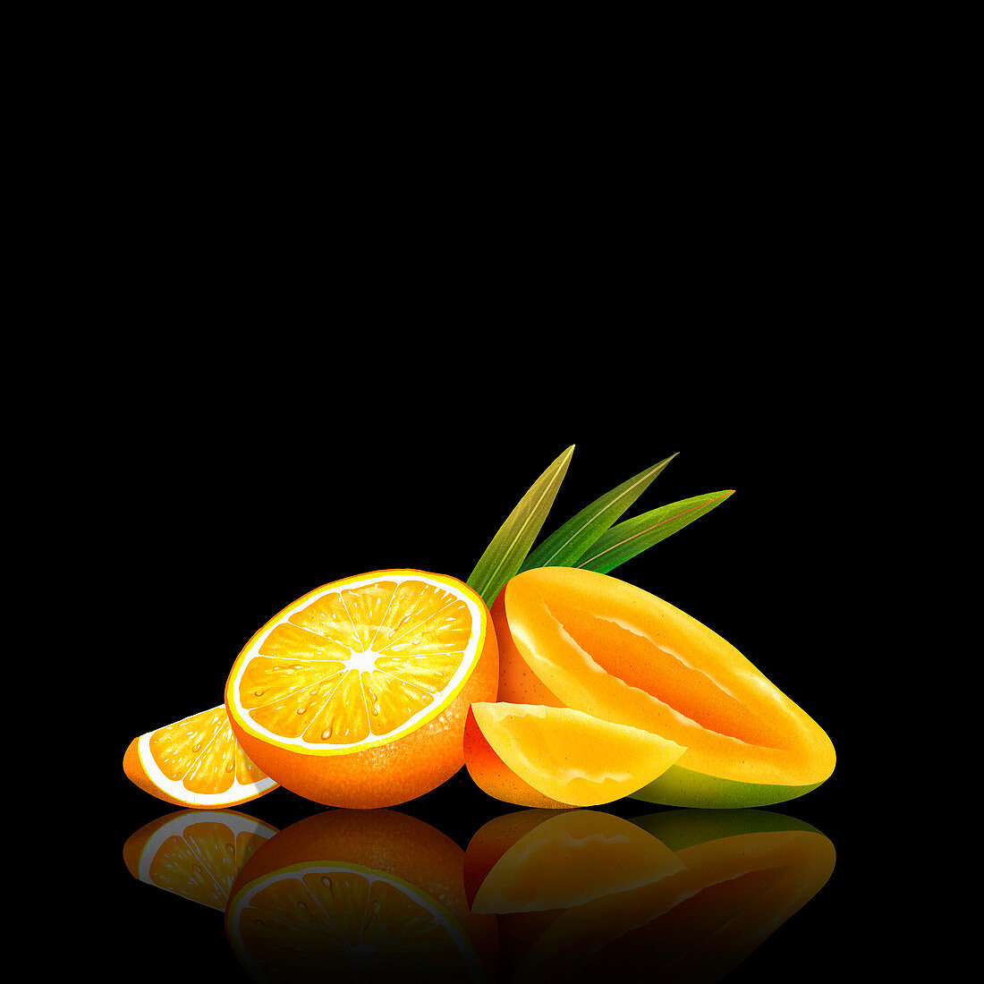 Fresh mango and orange, illustration