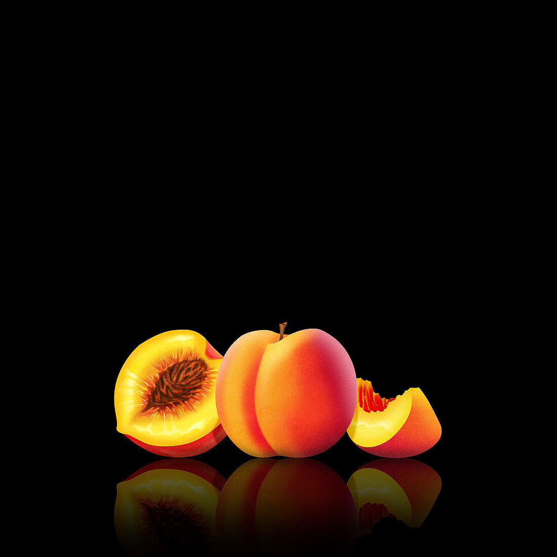 Fresh peaches, whole, half and slice, illustration