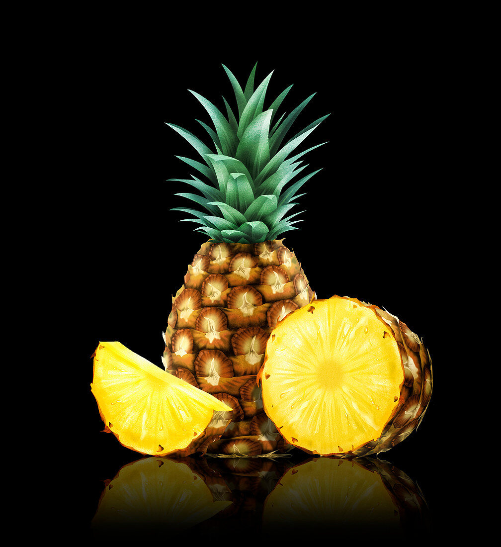 Fresh pineapples, whole, half and slice, illustration