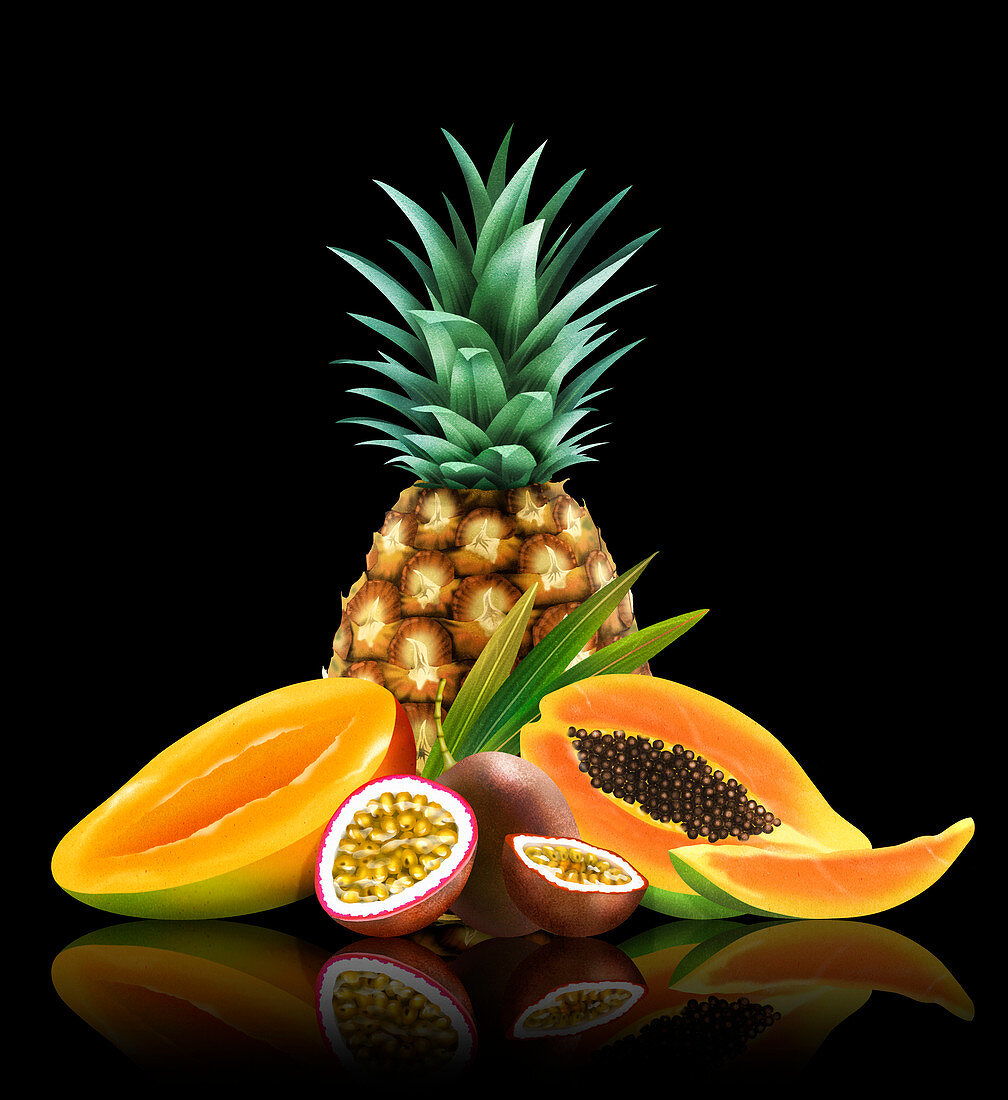Range of fresh tropical fruit, illustration