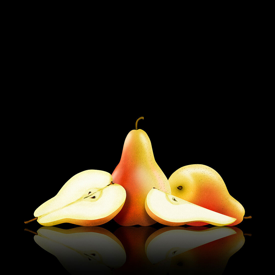 Whole and cut pears, illustration