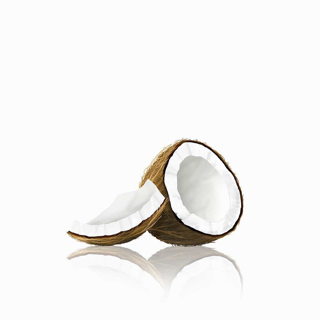 Pieces of coconut, illustration