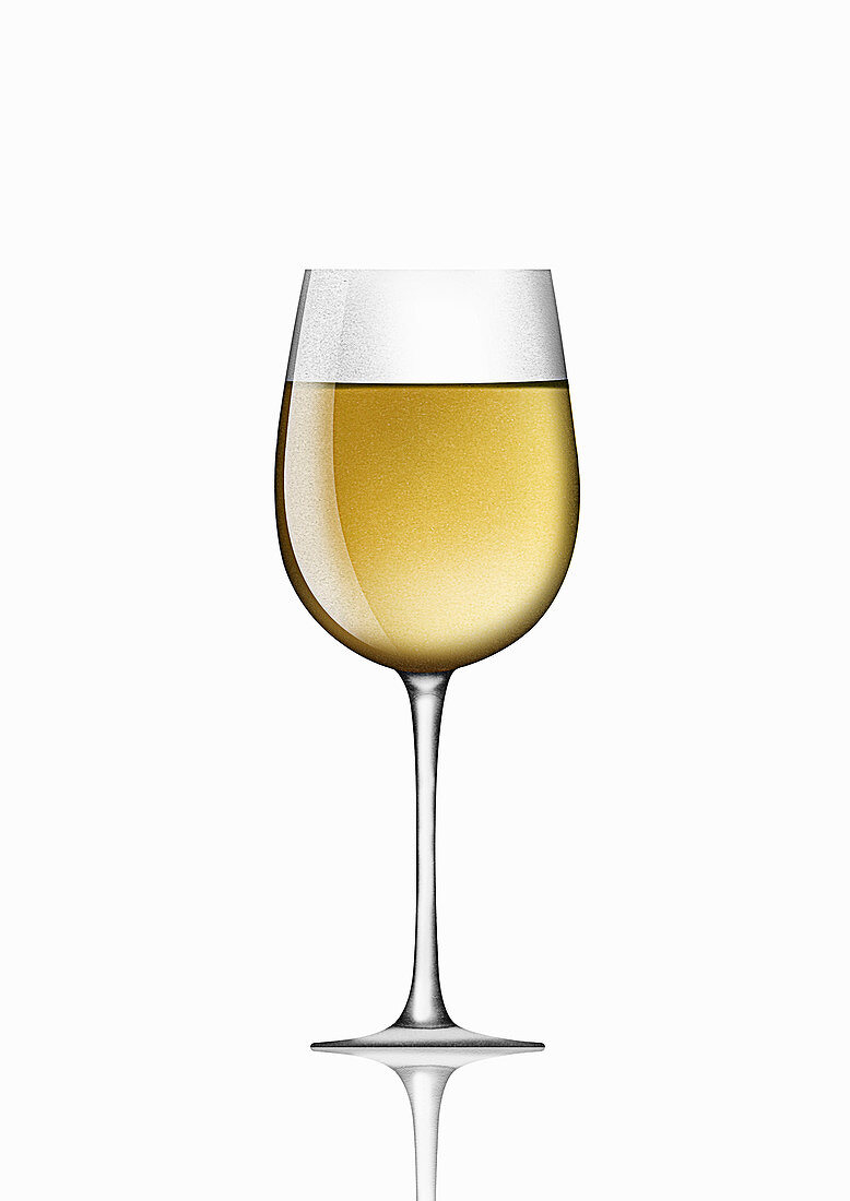 Single glass of white wine, illustration