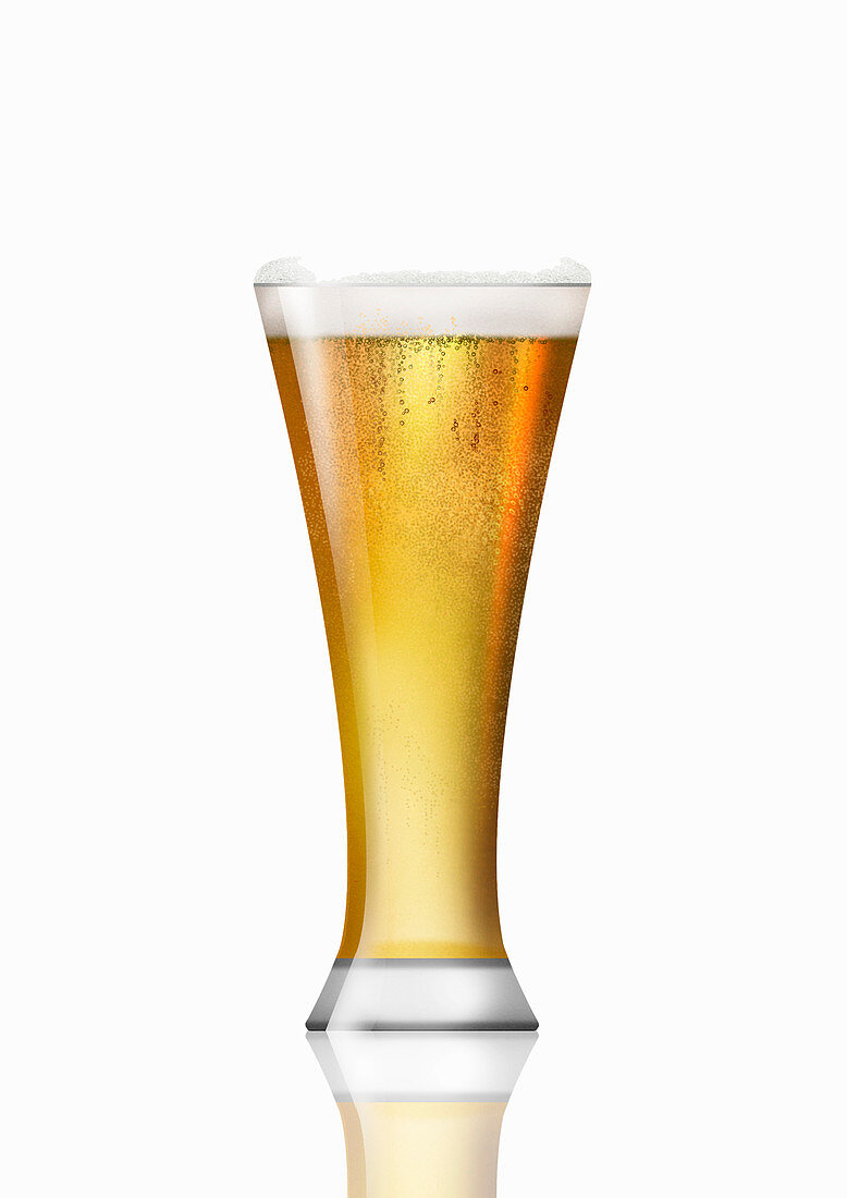 Glass of lager, illustration
