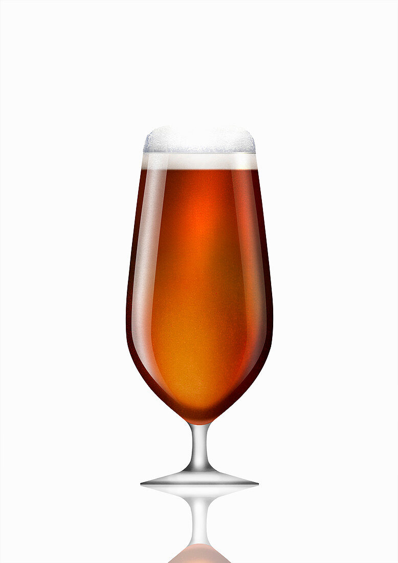 Stemmed glass of bitter beer, illustration