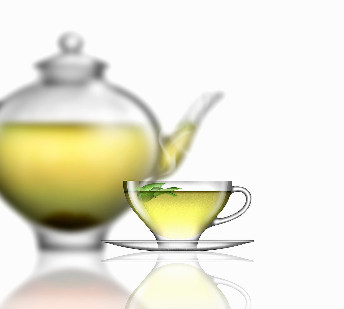 Green tea, illustration